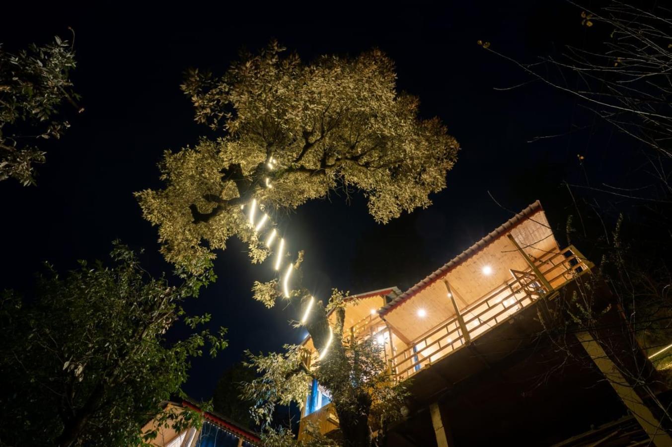 فيلا Into The Woods Treehouse Jibhi المظهر الخارجي الصورة